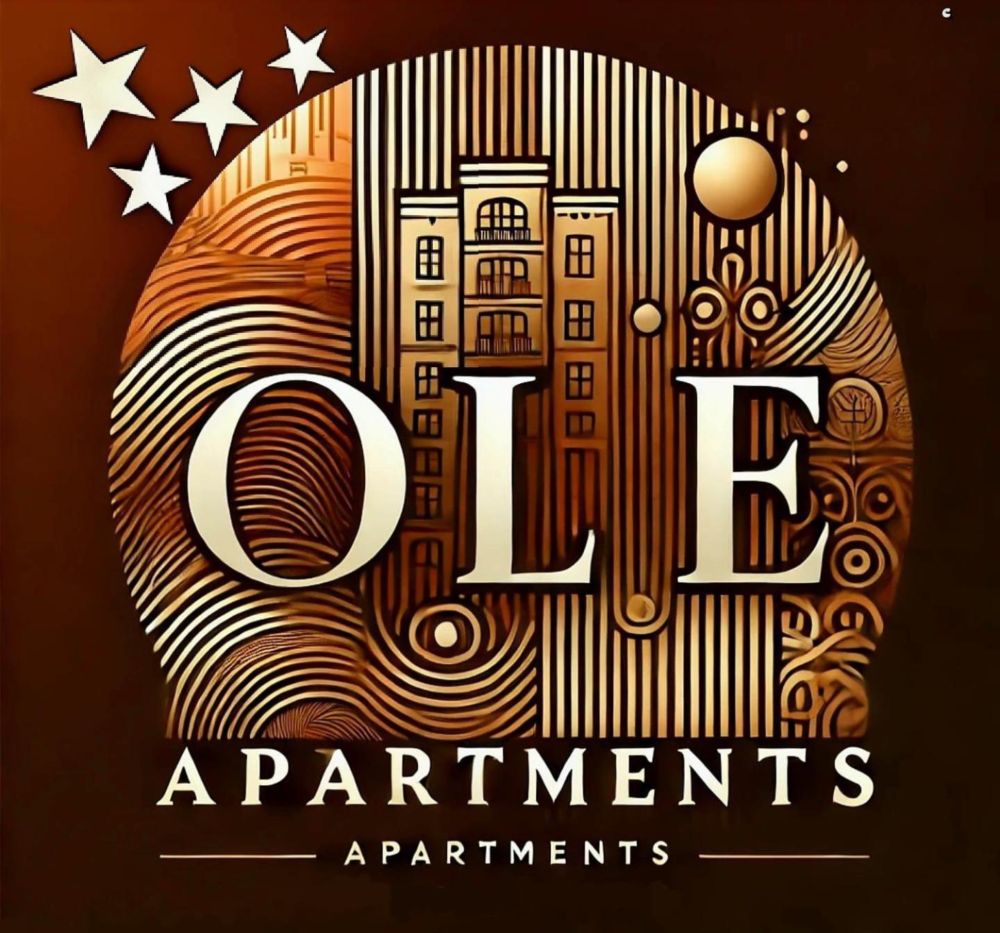 Ole Apartment - Get Your Energy For Free! Coffee And Tea On The House 蒂米什瓦拉 外观 照片